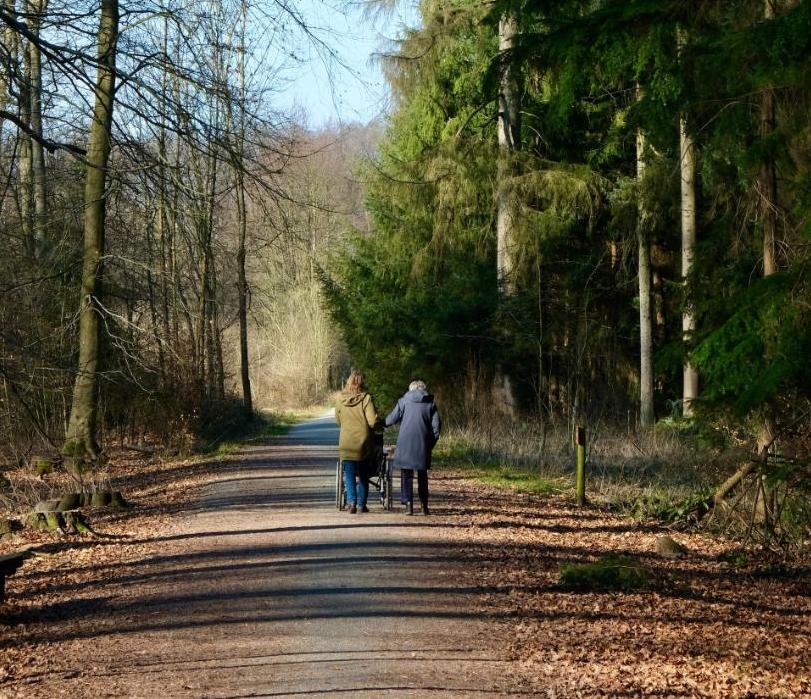 residents walking in woodland