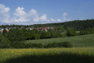 Care Homes Near Worthing