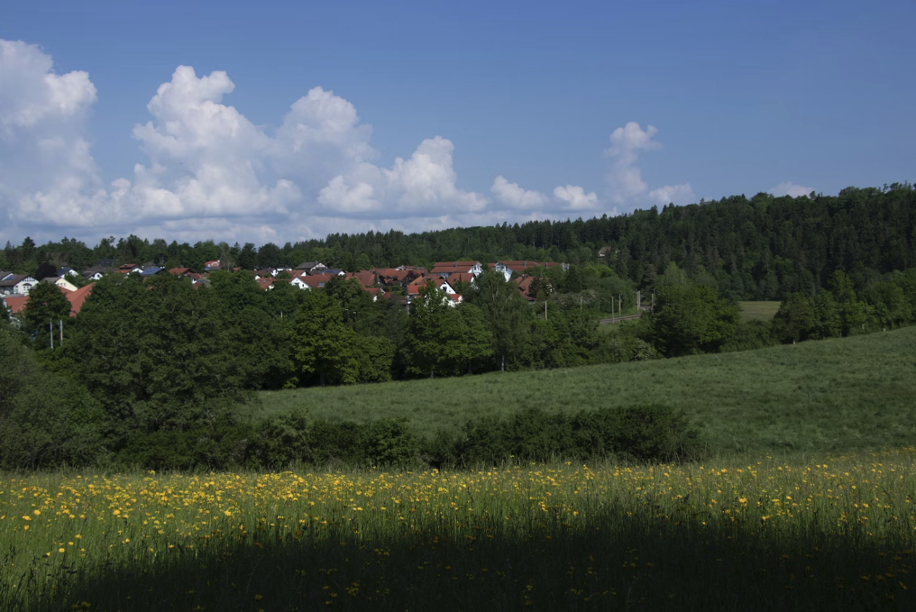 Green field with blue skys in Billingshurst